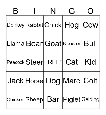 BARN YARD BINGO Card
