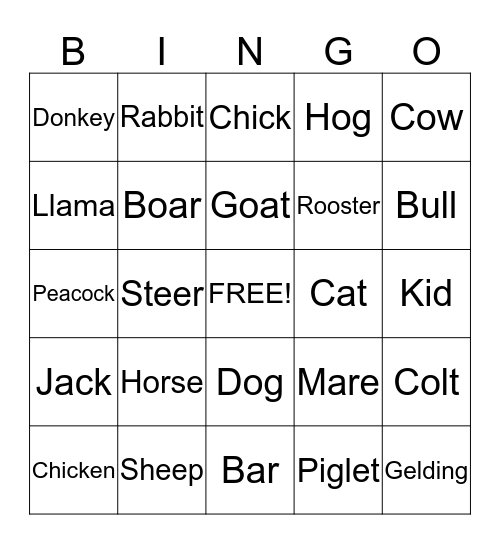 BARN YARD BINGO Card