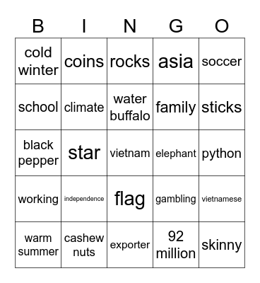 Vietnam Bingo Card