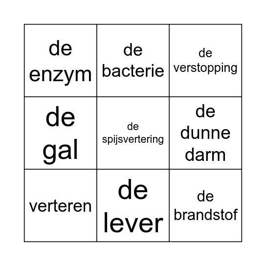 Bingo woordenschat les 1 Bingo Card