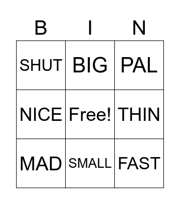 Synonym Bingo Card