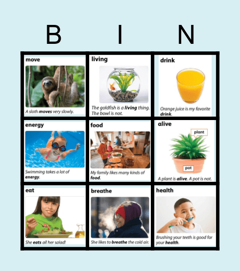 Key Words B2.1 Bingo Card