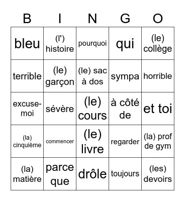 1 havo/vwo chapitre 2 vocabulaire A Bingo Card