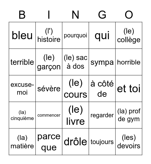 1 havo/vwo chapitre 2 vocabulaire A Bingo Card