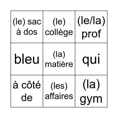 1 havo/vwo chapitre 2 vocabulaire A Bingo Card