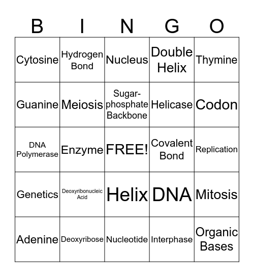 DNA Replication Bingo Card