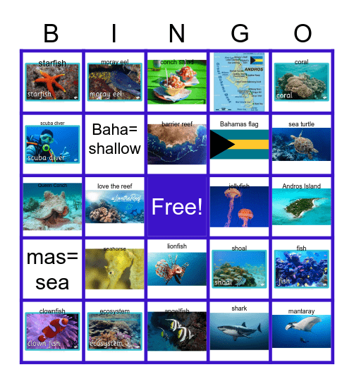 Andros Barrier Reef Bingo Card