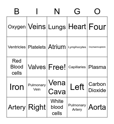 Circulatory System Bingo Card