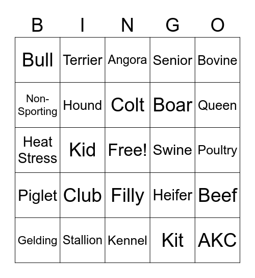 7th Grade Ag Bingo Card