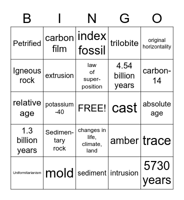 Fossils Bingo Card