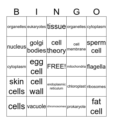 Cell parts and functions Bingo  Bingo Card