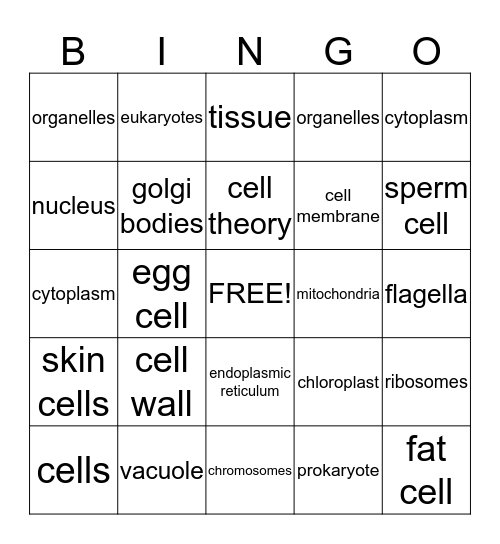 Cell parts and functions Bingo  Bingo Card