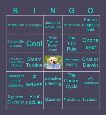 Midterm Review Bingo Card