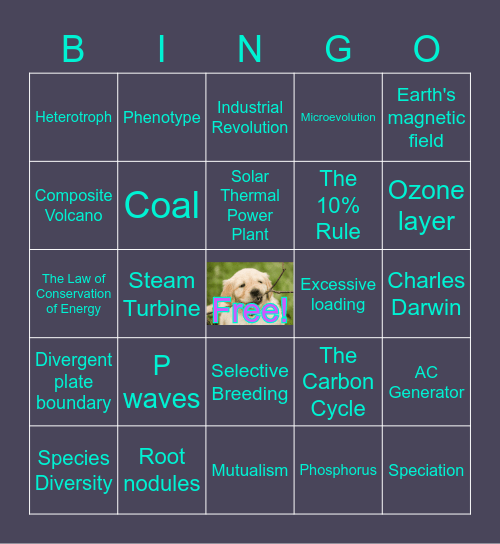 Midterm Review Bingo Card
