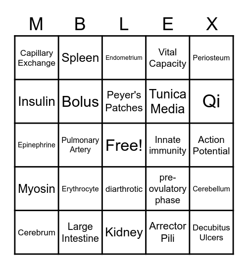 A & P Review Bingo Card