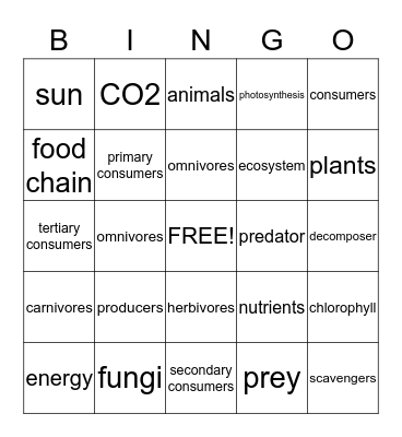 Food Chain Bingo Card