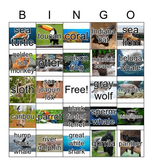 Endangered Animals Bingo Card