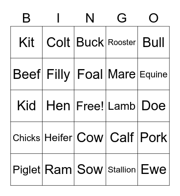 Animal Terminology Bingo Card