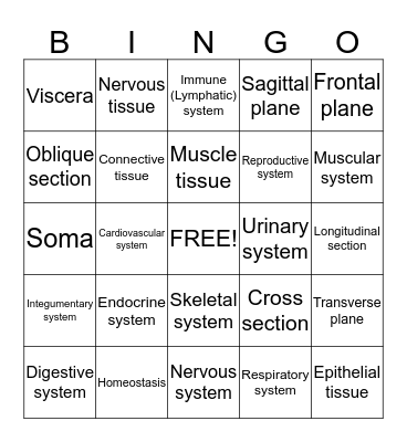 Intro to A&P Bingo Card