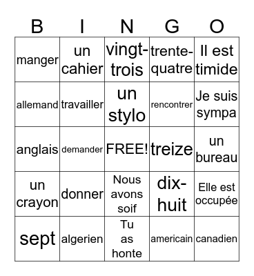 Francais I - Examen Final Bingo Card