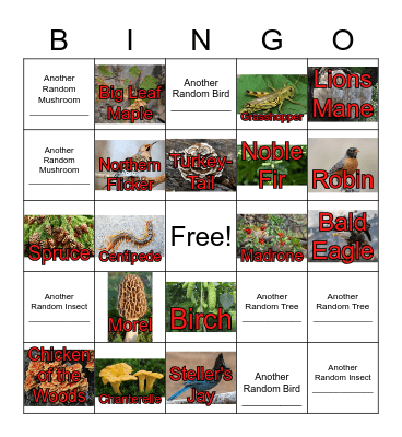 Nature Walk Bingo Card