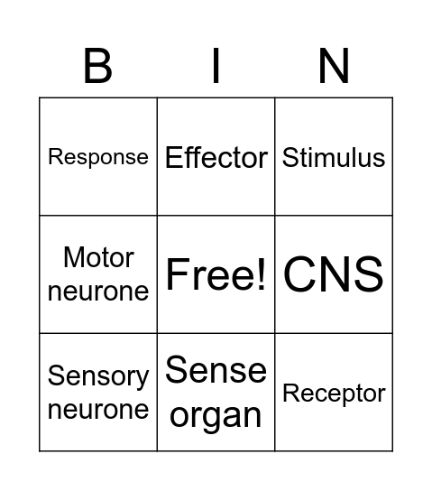 AQA GCSE Science: Nervous System Bingo Card