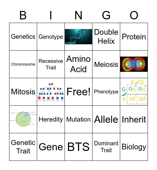 Genetics Vocab Bingo Card