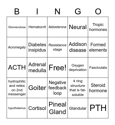 Endocrine System Bingo Card