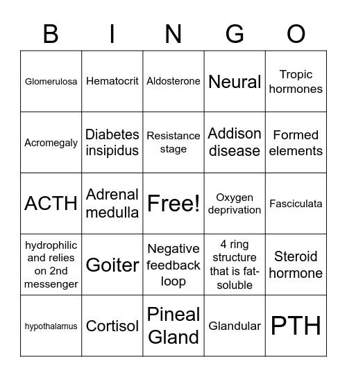 Endocrine System Bingo Card