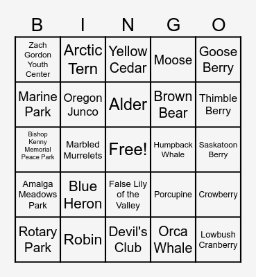 Juneau Bingo Card