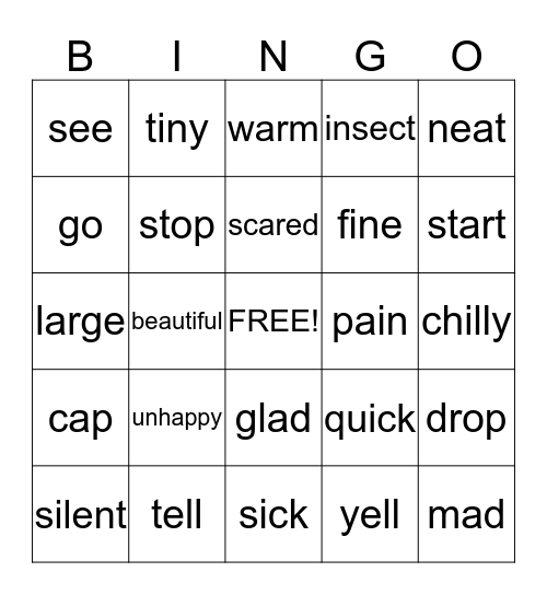 Synonyms Bingo Card