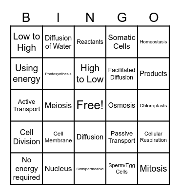 Cellular Processes Bingo Card