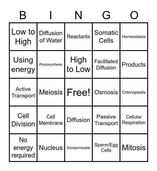 Cellular Processes Bingo Card