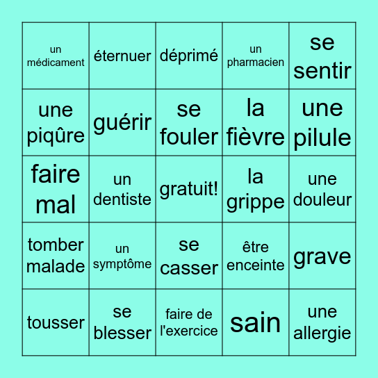 fr2_leçon 2B vocabulaire Bingo Card