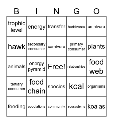 Energy Flow Bingo Card