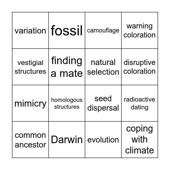 Evolution Bingo Card