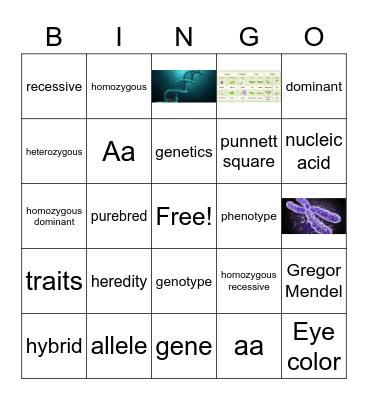 Genetics Bingo Card