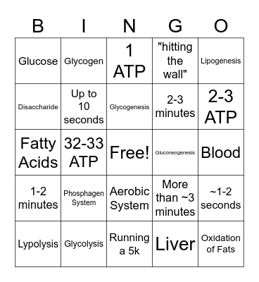 Energy Systems Bingo Card