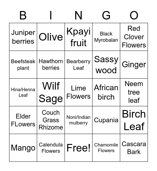 GENTILES Bingo Card