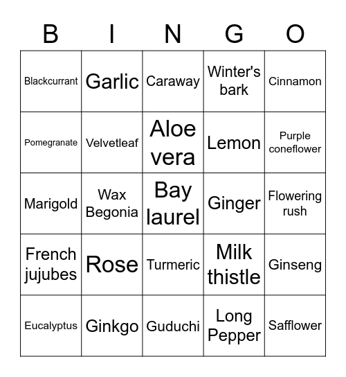 Phytomedicinal plants Bingo Card