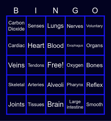 Science Bingo Card