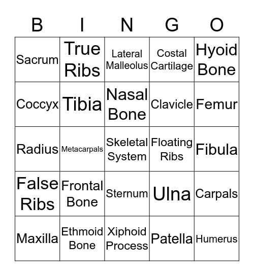 Skeletal System  Bingo Card