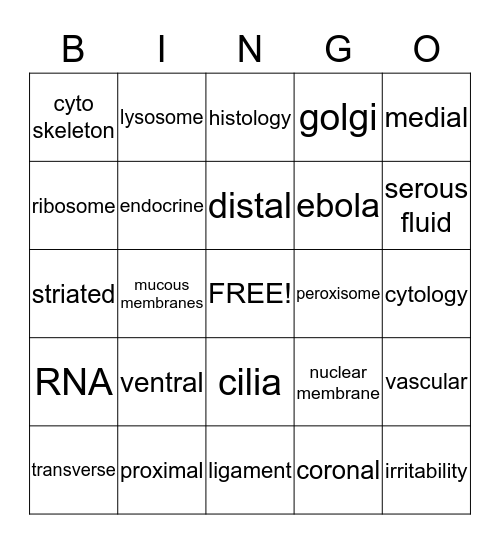 Anatomy Review Bingo Card