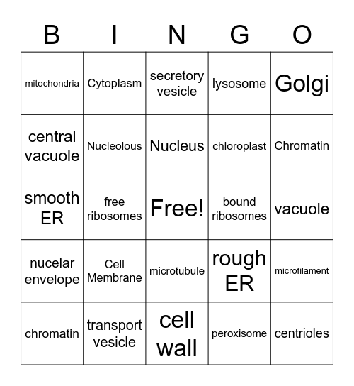 Organelles Bingo Card