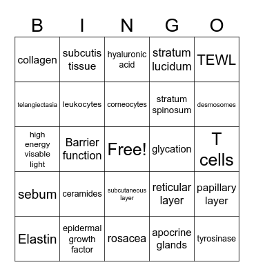 Histology & Physiology of the Skin Bingo Card