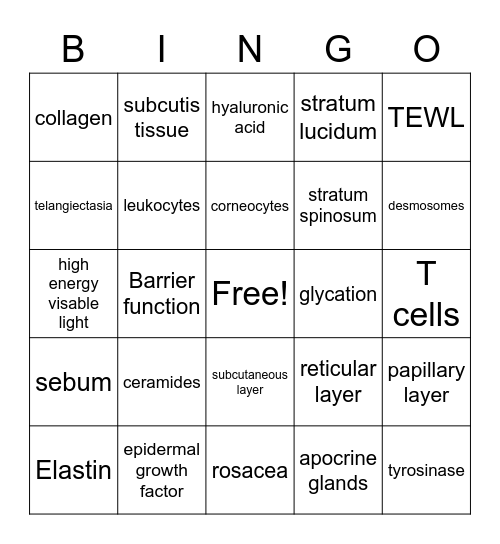 Histology & Physiology of the Skin Bingo Card