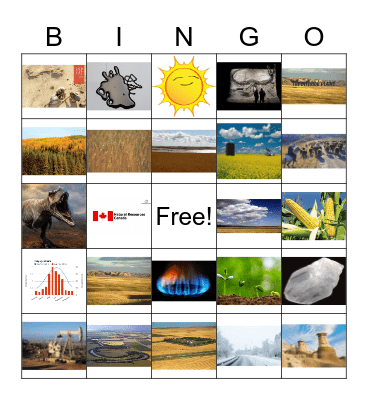 Interior Plains-Grade 4 Bingo Card