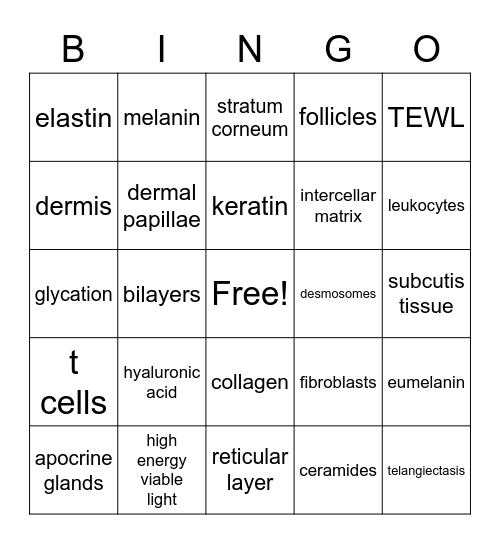 Physiology & Histology of the Skin Bingo Card