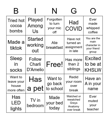 Bingo Icebreaker Bingo Card