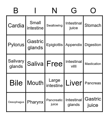 Systems of Nutrition: Digestion Bingo Card